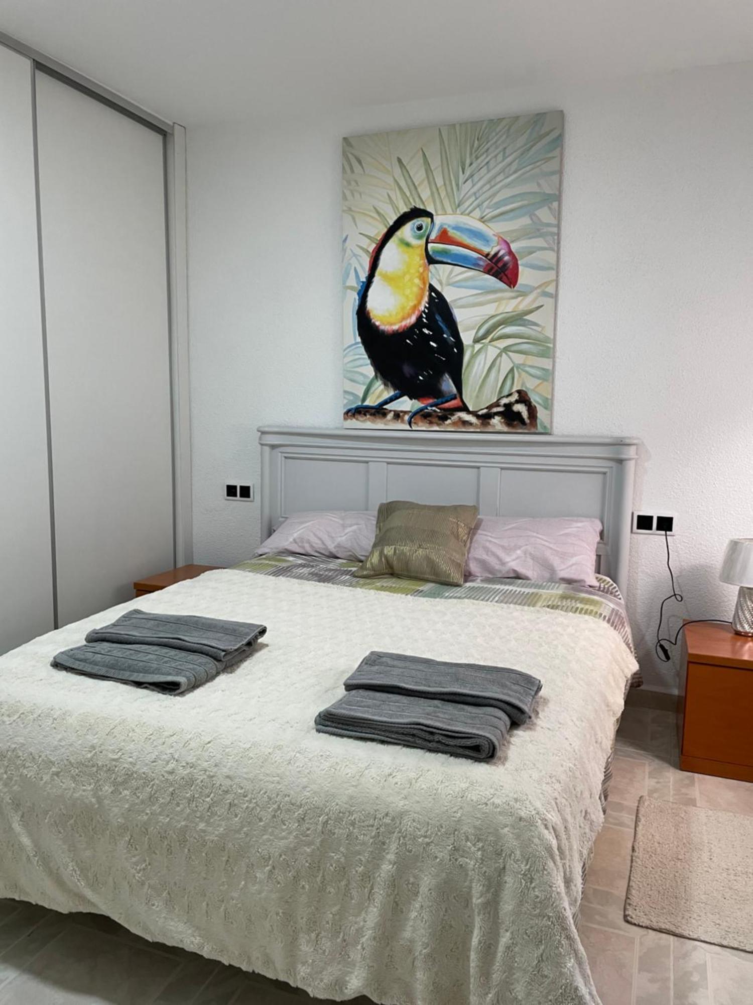 Habitacion En Piso Particular Sol Connect Alicante Buitenkant foto